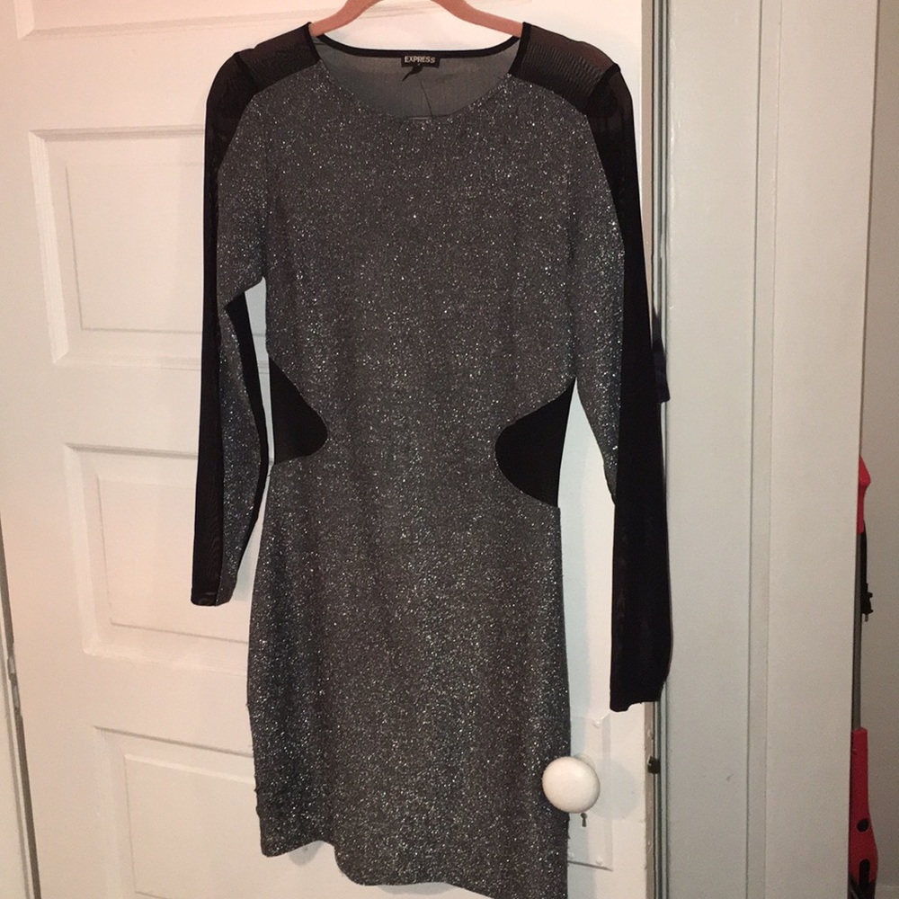 Express Shimmer Dress